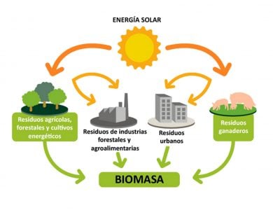 La biomasa es material biologico que puede ser ulitizado como combustible sin tener repercusiones en el medio ambiente.
